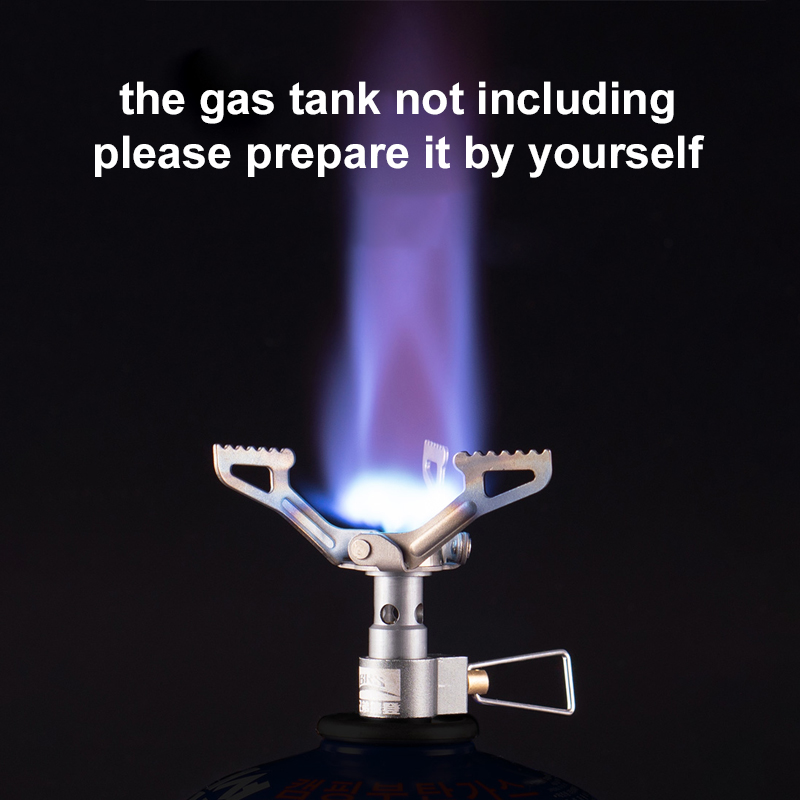 BRS-estufa de Gas para exterio - Camping Cooking No Gas reseña y precio